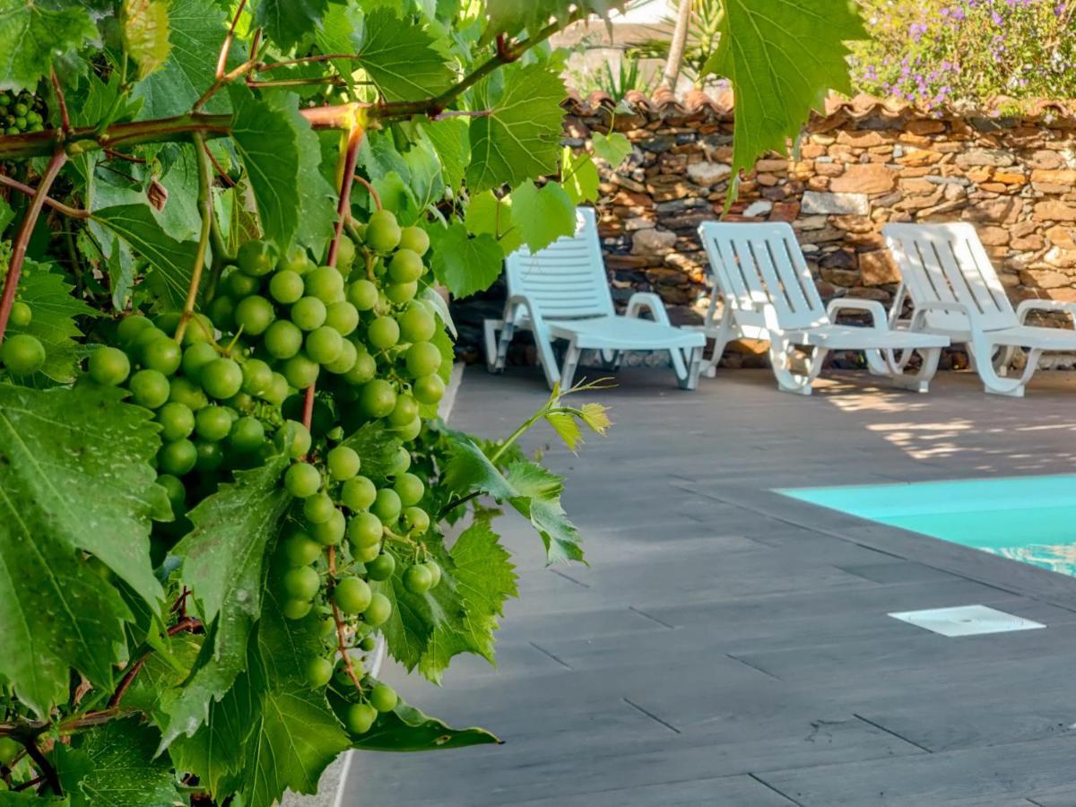 Casa Do Casal - Country House With Swimming Pool Viana do Castelo Luaran gambar
